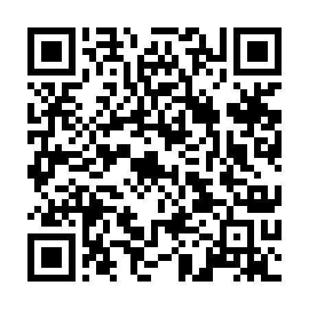 QR code for Irishtown