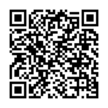 QR code for Ballybot